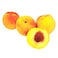Yellow Nectarine