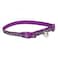 Coastal 3/8 Safe Cat Lazer Black Reflective Adj. Break Away Collar Purple Animal Print