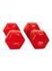 Generic 2-Piece Vinyl Dumbbell 2kg 2kg