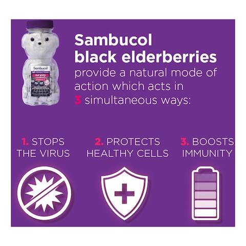 Sambucol Kids Chewable Teddies 60 Chewables