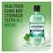 Listerine Teeth and Gum Antiseptic Mouthwash - Milder Taste - 250ml