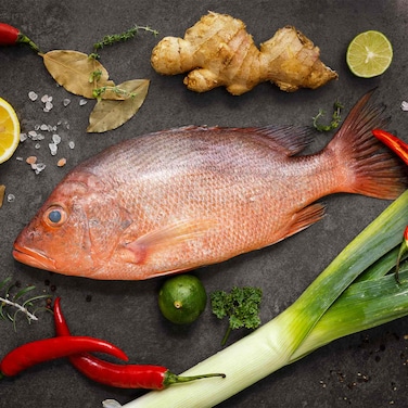 Red Snapper