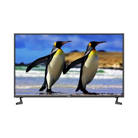 Nikai 43-inch Full HD TV - NE43LED1