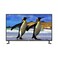 Nikai 43-inch Full HD TV - NE43LED1