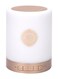 Generic Touch Lamp Portable Quran Speaker, Gold/White