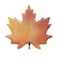 Maple Leaf Plates