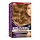 Wella Koleston Supreme Hair Color 7/3 Hazelnut