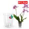 Plastic Forte Orchid Pot