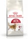 Royal Canin Fhn Feline Health Nutrition Fit 32 400gm Adult Cat Dry Food