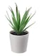 Generic Fejka Artificial Potted Plant With Pot Green/White
