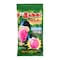 Big Babol Filifolly Watermelon 11g