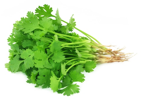 Buy Coriander - 50gm in Egypt