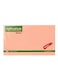 Fantastick 12-Piece Sticky Notes 3x5 Inch Size Pink