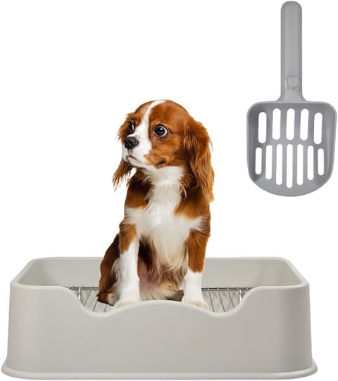 Dog Pee Training Toilet With Litter Scoop, Indoor &amp; Outdoor Dog Tray for Small and Medium Dogs, Dog Litter Box Stainless Steel Mesh Rack (White Color)