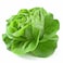 Farmed Here Green Boston Lettuce