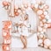 Baby Shower Boxes Party Decorations &ndash; 4Pcs Transparent Balloons Decor Baby Box Baby Blocks Decorations for Boy Girl Baby Shower 1st Birthday Party Gender Reveal Backdrop (Rose Gold)