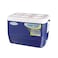 Pinnacle Cooler Box 57 Liters Assorted Colors