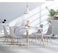 LANNY Eames White Dining Set(1+4): Wood Rectangle Table-T6+Plastic Seat Wood Leg Chair-1618, Modern Eating Furniture for Living Room/Desk/Office/Meeting Room/Kitchen/Lounging/Cafeterias