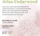Aura Cacia Atlas Cedarwood Essential Oil, 0.5 Fl Oz