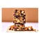Maxi Nutrition Vegan Protein Nut Bar Dark Chocolate Peanut 46g Pack of 12