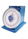 Generic Dial Spring Scale Camry 100Kg