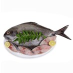 Buy Fresh Black Pomfret in Saudi Arabia