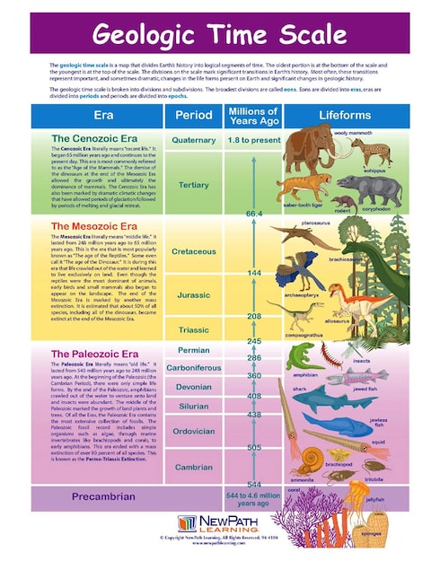 Buy NewPath Learning-947122 Geologic Time Scale Visual Learning Guides ...