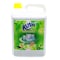 Rush Dish Washing Liquid 5L