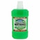 ACTIVE ORAL CARE FLOURIDE  PROTECTION MOUTHRINSE ALCOHOL FREE GREEN MINT 750ML