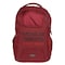 American Tourister 02 Sage Backpack Multi