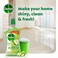 Dettol Antibacterial Floor Cleaner Green Apple Scent, 900ml
