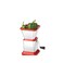 Delcasa Stainless Steel Chilly Cutter 14 inches 