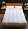 CottonHome Mattress Topper- (160 X 200 + 10 Cm) White