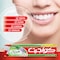 Colgate Herbal Toothpaste 125ml