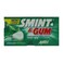 Smint &amp; Gum Sugar Free Peppermint with xylitol 13.9 g