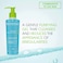 Bioderma Sebium Facial Purifying Cleansing Foaming Gel For Combination/Oily Skin, 200ml