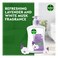 Dettol Liquid Ph-Balanced Sensitive Handwash 400ml Pack of 2