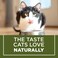 Purina Cat Chow Naturals Indoor Dry Food 1.42kg