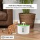 Cat water fountain with water level window, Flower fountain 1.6L water dispenser for multiple pets with replacement filters, Three modes drinking fountain (16 cm) Green