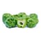 Capsicum Green