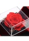 Generic Ravishing Red Gift Box: Store And Showcase Your Treasures In Style (Without Necklace)