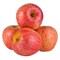 Kanzi Apples