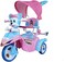 Lovely Baby Kids Tricycle Lb 320Hc Pink