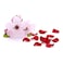 Giovanni 2Chic Ultra Luxurious Conditioner Oz. Enriched With Aloe Vera Provitamin B5 Smooths Curly Wavy Hair No Parabens Color Safe Sulfate Free, Ultra-Luxurious (Cherry Blossom + Rose Petals)
