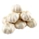 Garlic Loose