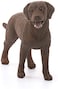Schleich Labrador Retriever Female Toy Figure, 13834