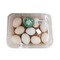 Bio Organic Eggs 10 Pieces