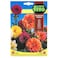 Fito Dahlia Decorative Mix Flower Seeds