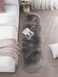 Generic Ultra Soft Fluffy Rug Grey Faux Sheepskin Fur Area Rug Shaggy Couch Cover Seat Cushion Furry Carpet Beside Rugs For Bedroom Floor Sofa Living Room Runner, 0.6M X 1.8M (Light Grey)