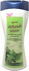 Kuwait Shop Green Watercress Shampoo 450 ml